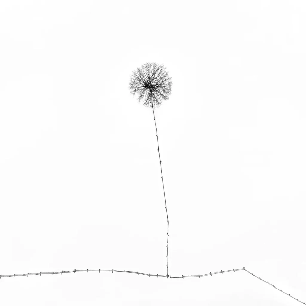 Лучшие минималистичные фото: объявлены победители Minimalist Photography Awards 2024