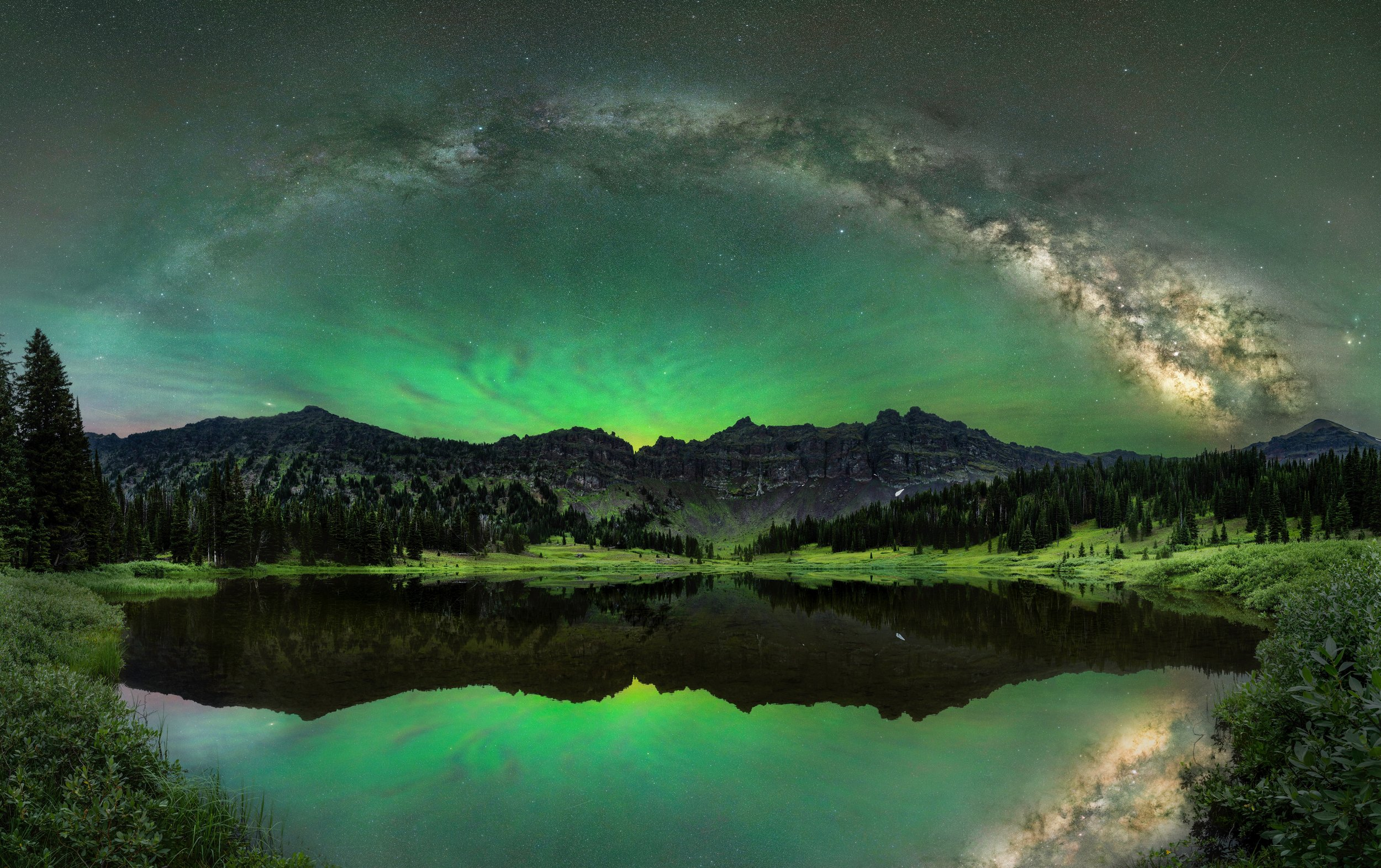 Олени в&nbsp;винограднике и&nbsp;милая черепашка: 14 победителей фотоконкурса World Nature Photography Awards 2025