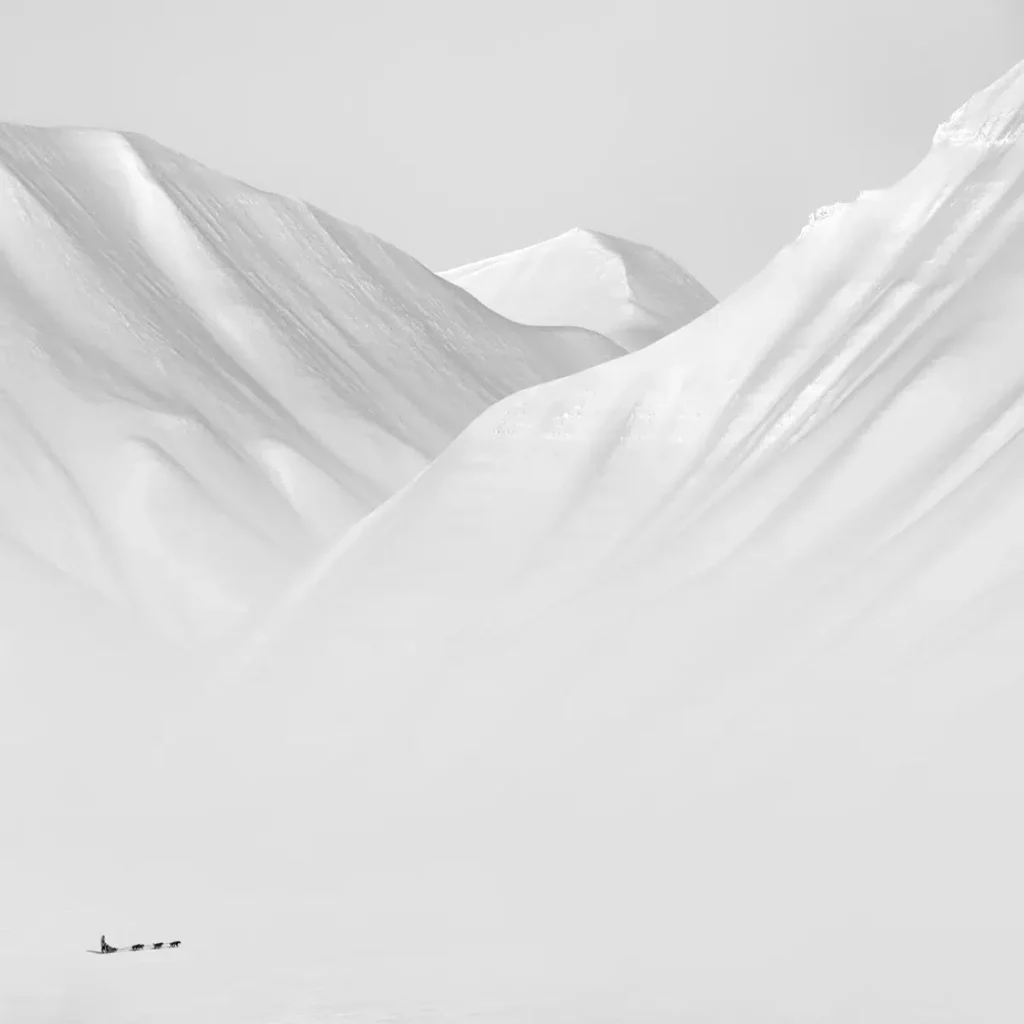 Лучшие минималистичные фото: объявлены победители Minimalist Photography Awards 2024
