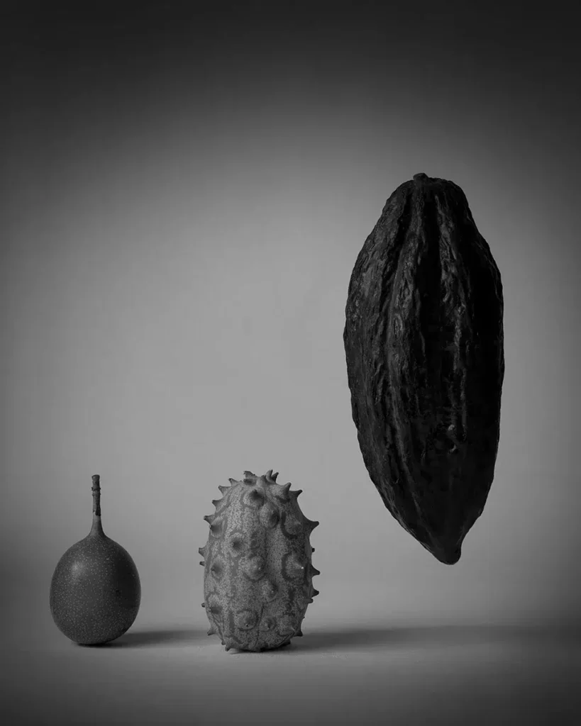 Лучшие минималистичные фото: объявлены победители Minimalist Photography Awards 2024