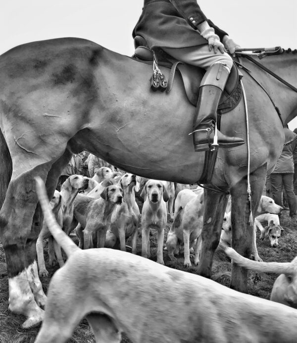 Лучшие фото на смартфон: объявлены победители iPhone Photography Awards 2024