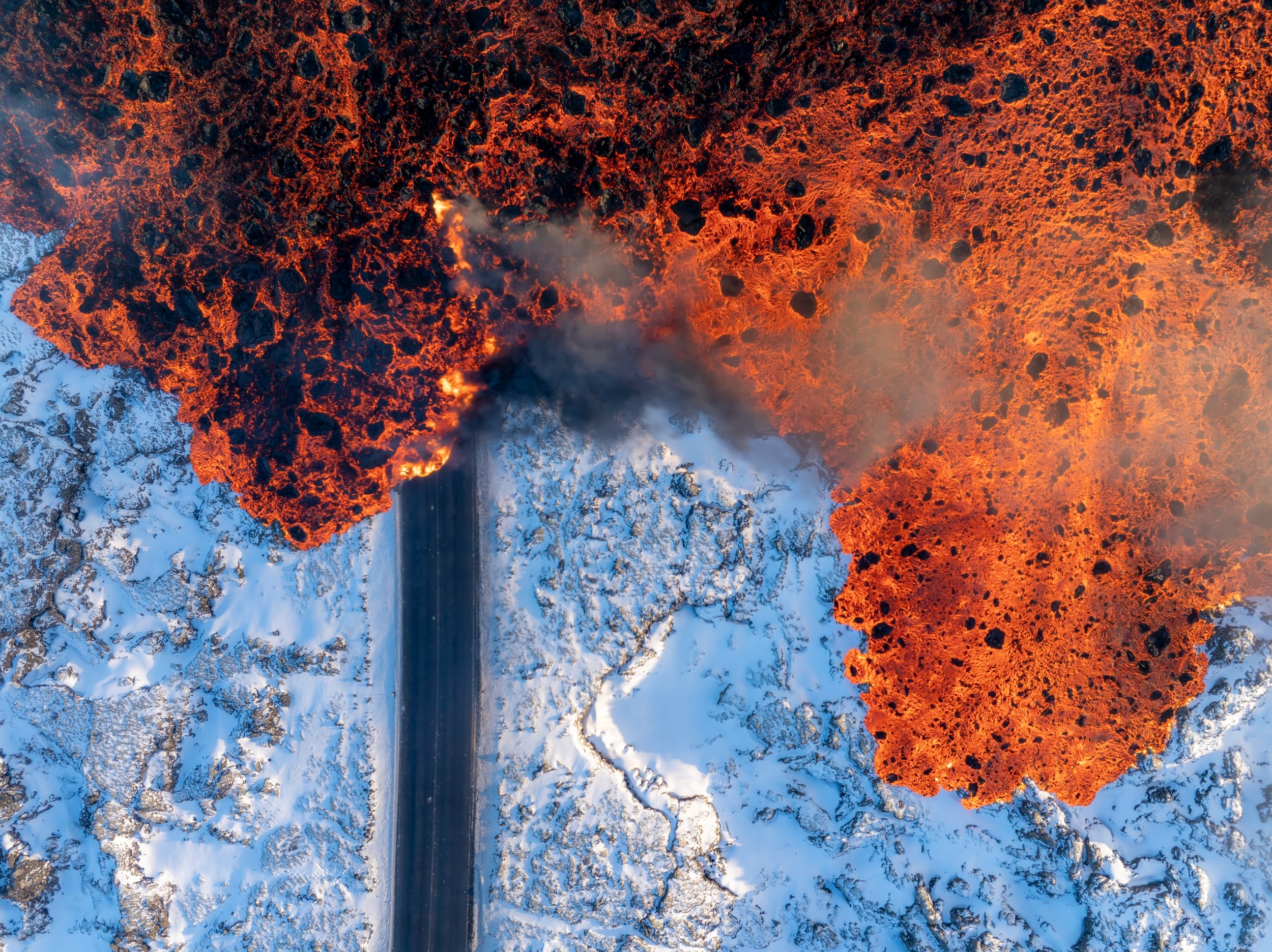 Олени в&nbsp;винограднике и&nbsp;милая черепашка: 14 победителей фотоконкурса World Nature Photography Awards 2025