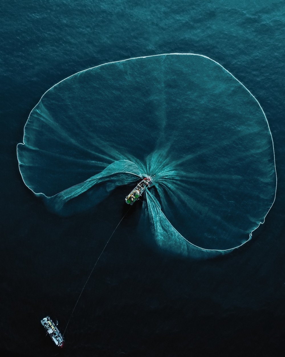 Олени в&nbsp;винограднике и&nbsp;милая черепашка: 14 победителей фотоконкурса World Nature Photography Awards 2025