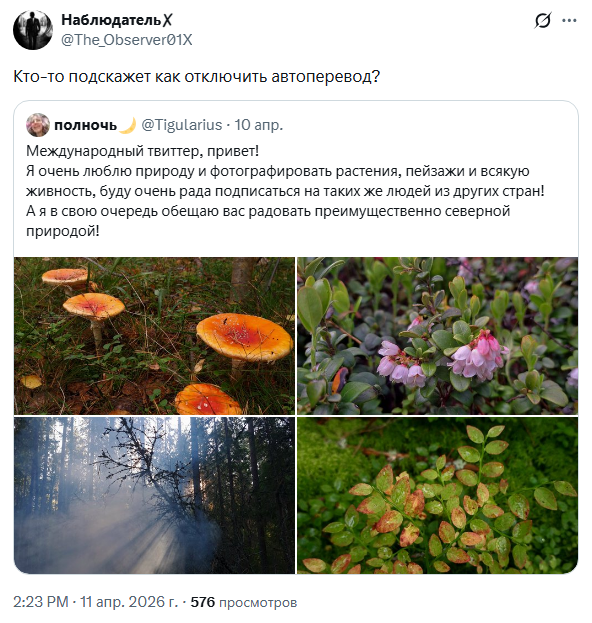 В соцсети X&nbsp;рухнул языковой барьер &mdash; автоперевод превратил ленту в &laquo;цифровой Вавилон&raquo;