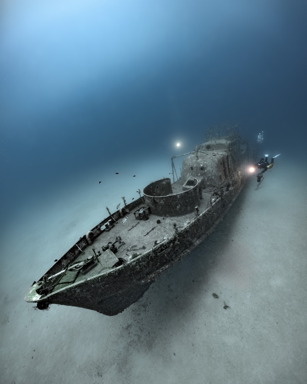 Игривый морской лев и&nbsp;элегантная акула: 15 снимков с&nbsp;фотоконкурса Underwater Photographer of the Year&nbsp;2025