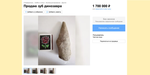 &laquo;Идёшь, а&nbsp;из земли торчат кости динозавров&raquo;: интервью с&nbsp;историком палеонтологии Антоном Нелиховым