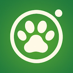 10 новых приложений для Android: лучшее за декабрь