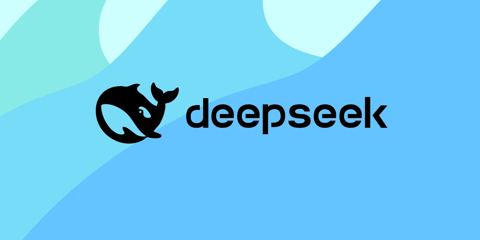 В DeepSeek появилось распознавание изображений &mdash; нейросеть не узнала своего создателя